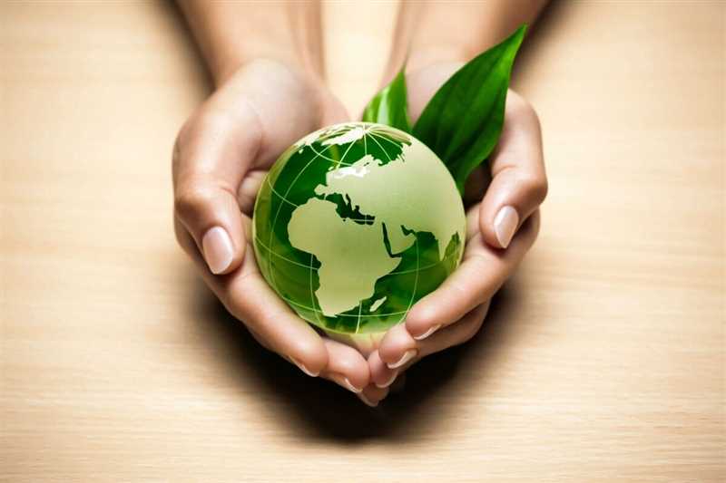 Битва за экологию: 10 способов стать eco-friendly компанией